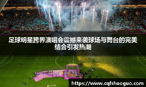 足球明星跨界演唱会震撼来袭球场与舞台的完美结合引发热潮